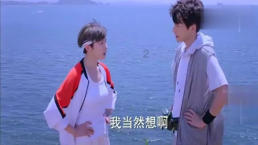 动物记忆大翻牌